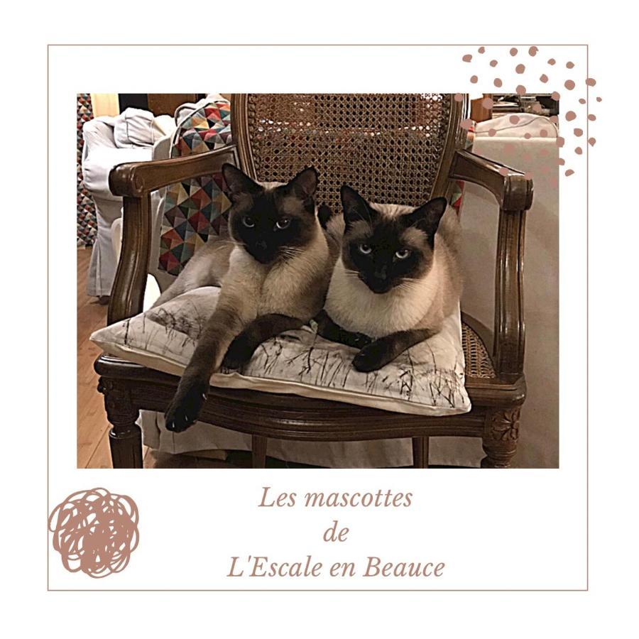 Maisons  L Escale En Beauce B&B 외부 사진